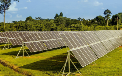 Newmont Akyem Case Study